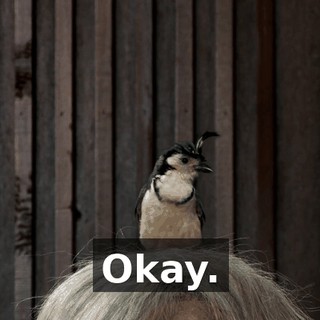 1116b09b-12f6-4894-ac82-d34f5dcc3465.gif