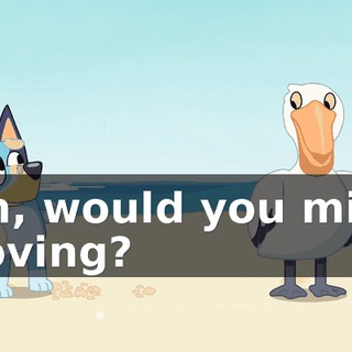 11365f53-dc1a-4303-a636-4a6d9adcc0b4.gif