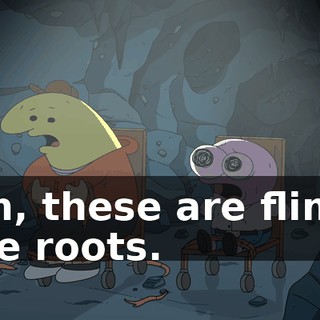 Pim, these are flimsy tree roots.
