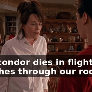 If a condor dies in flight and crashes through our roof