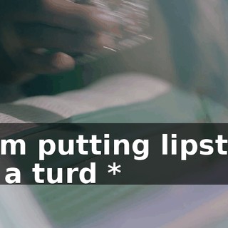 * I'm putting lipstick on a turd *