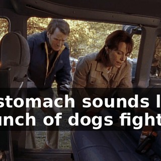 My stomach sounds like a bunch of dogs fighting.