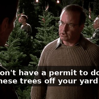 You don't have a permit to do this. Get these trees off your yard.