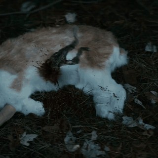 11c440c2-59a2-4f50-8aac-8d2a66244850.gif