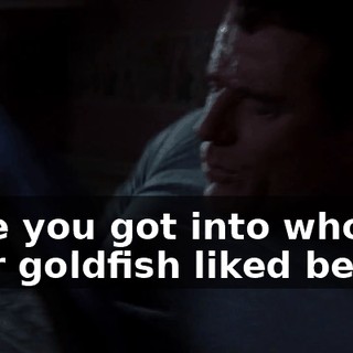 once you got into who your goldfish liked better.
