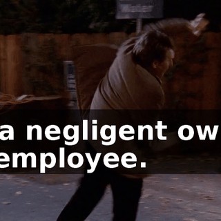 by a negligent owner or employee.