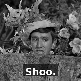 1259493e-9e1e-41c6-9af4-62212f13f3ef.gif