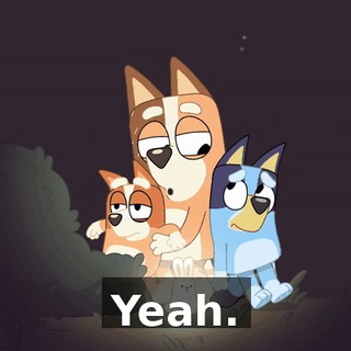 12711264-5446-4a31-baf3-1fb1a9a823c0.gif