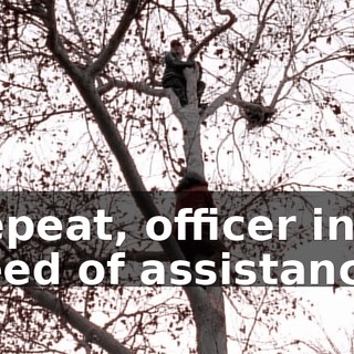 Repeat, officer in need of assistance!