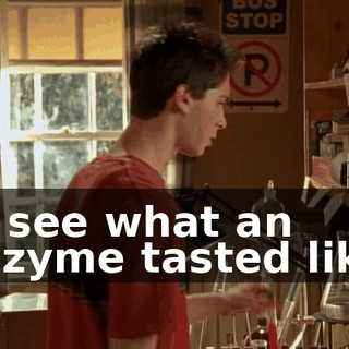 to see what an enzyme tasted like.
