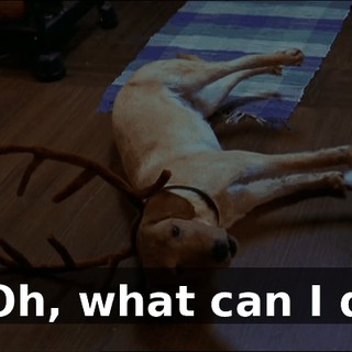1332b830-a802-401c-8275-a2d63f10e7c3.gif