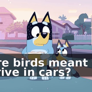 134b8b55-b542-4692-9686-1849e56ec73f.gif