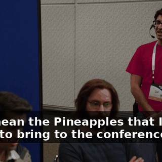 You mean the Pineapples that I hired them to bring to the conference