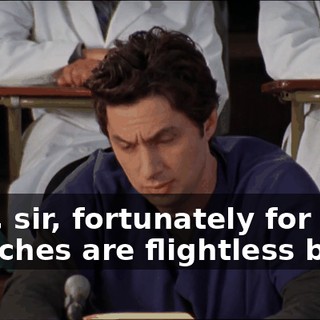 1387c278-a965-460a-849d-bd5e2b5e3149.gif