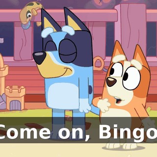Come on, Bingo.