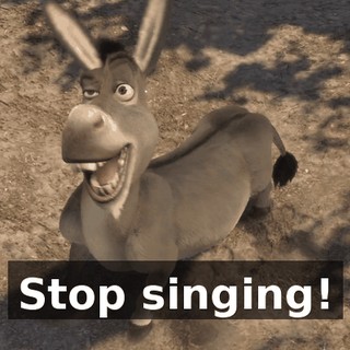 Stop singing!