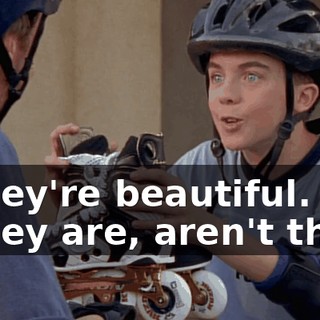 - They're beautiful. - They are, aren't they?
