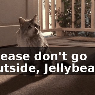 1479e810-16a6-48de-9a93-041387dc6744.gif
