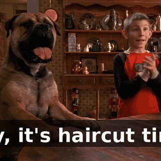 Hey, it's haircut time.