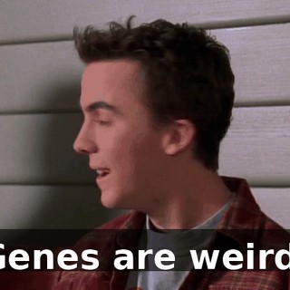 Genes are weird.