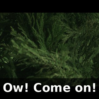 Ow! Come on!