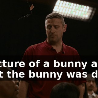 a picture of a bunny and what the bunny was doing