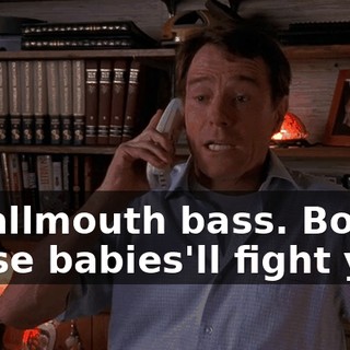 Smallmouth bass. Boy, those babies'll fight you.