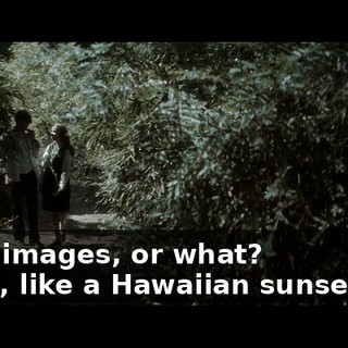 -Like images, or what? -Yeah, like a Hawaiian sunset or...