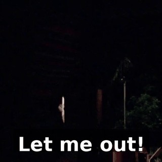 Let me out!