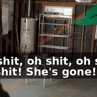 Oh shit, oh shit, oh shit, oh shit! She's gone!