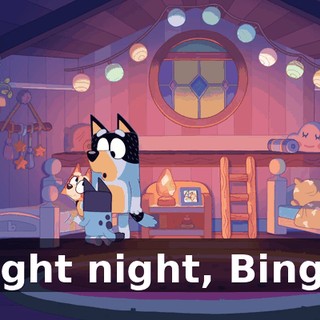 Night night, Bingo.