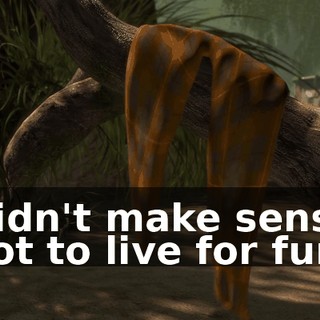 Didn't make sense not to live for fun.