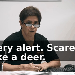 Very alert. Scared, like a deer.