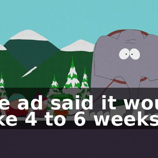 The ad said it would take 4 to 6 weeks,