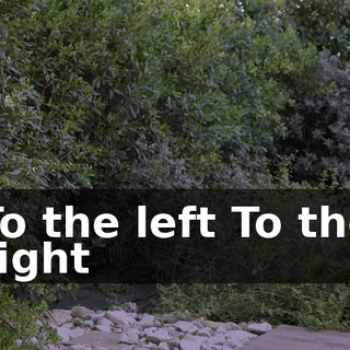 ♪ To the left To the right ♪