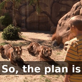 So, the plan is