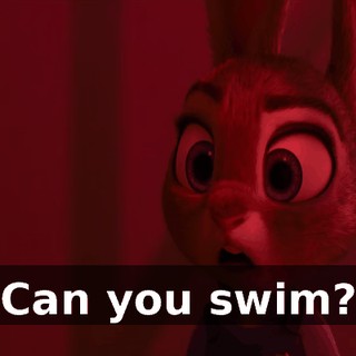 1643047e-afaf-4722-8c70-3fac4883956c.gif
