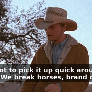 You got to pick it up quick around here. We break horses, brand cattle.