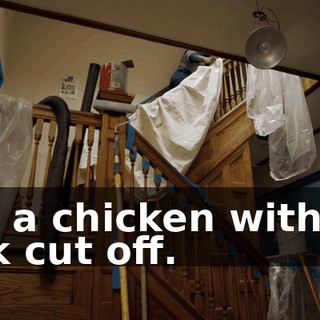 like a chicken with his dick cut off.
