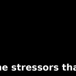 - The stressors that...