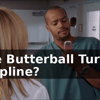 16f4f452-8428-42ef-8d1b-184171b57177.gif