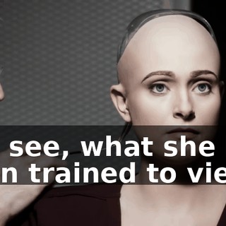 You see, what she had been trained to view