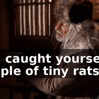 You caught yourself a couple of tiny rats.