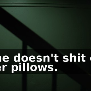 She doesn't shit on her pillows.