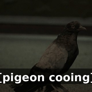 173ee45c-581e-41fa-b0bf-7d2d135411eb.gif