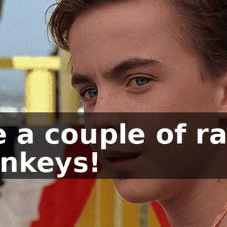like a couple of rabid monkeys!