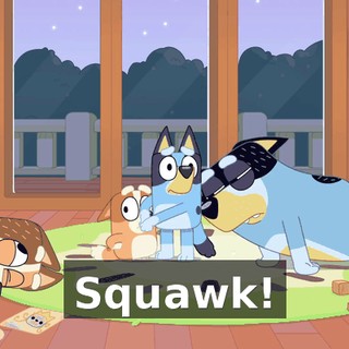 Squawk!