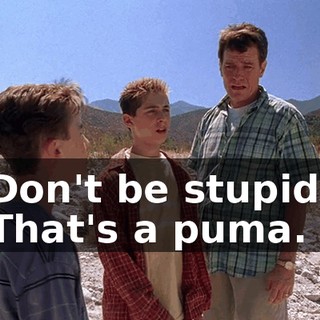 Don't be stupid. That's a puma.
