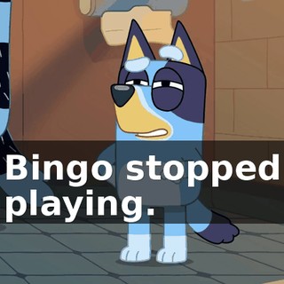 Bingo stopped playing.