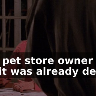 The pet store owner told me it was already dead,